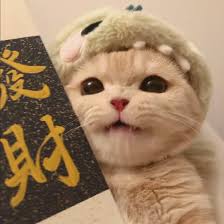 Ảnh đại diện người dùng Văn Phúc